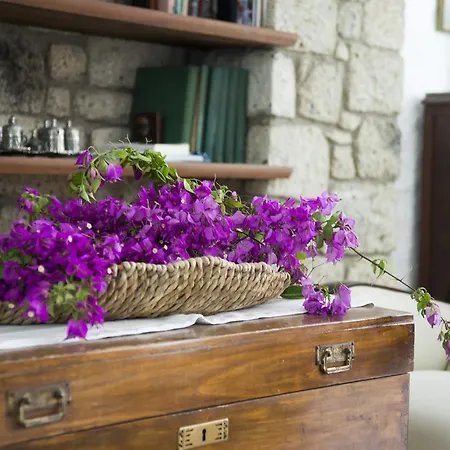 Bed & Breakfast Aurora Alacati